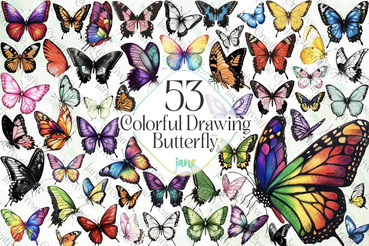 Butterfly Drawing Image 11