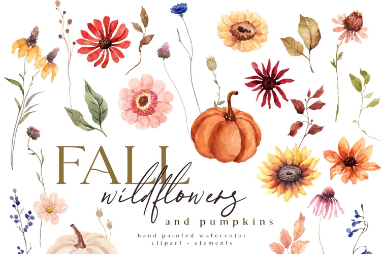 Watercolor Autumn Clipart Leaves, Pumpkins, Wildflowers