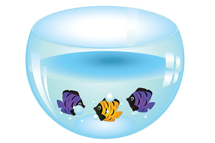 Fish Clipart Image 11