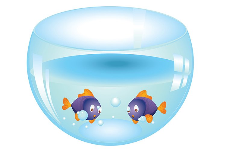 Fish Clipart Image 2