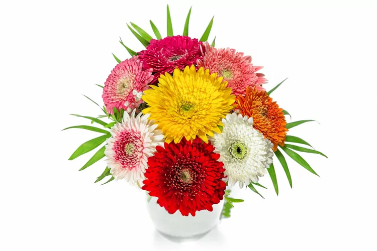 Gerbera flowers bouquet Floral arrangement