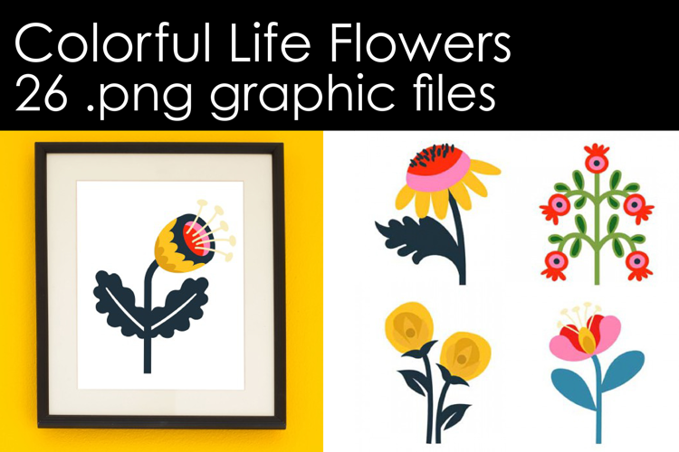 Color Life Flowers