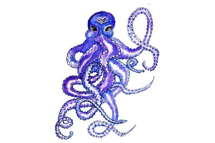 Octopus Illustration Image 10