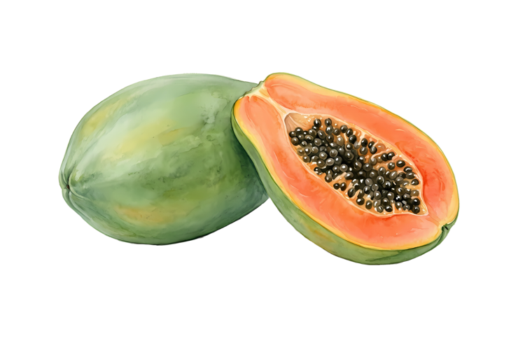 Colorful Papaya Png| Fruit Png