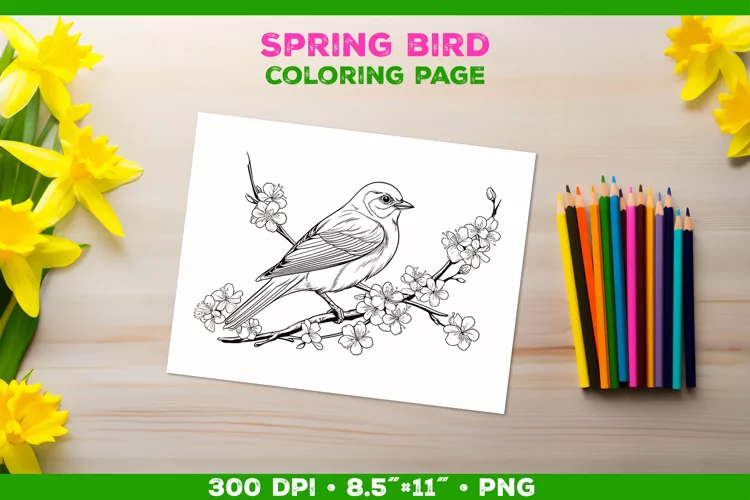Kids simple coloring book page with Bird in Blooming Branch