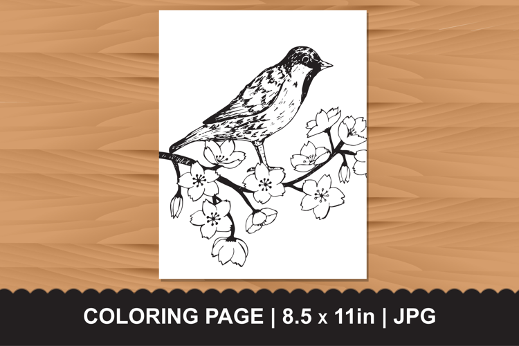 Bird Cherry Blossom Coloring Page JPG