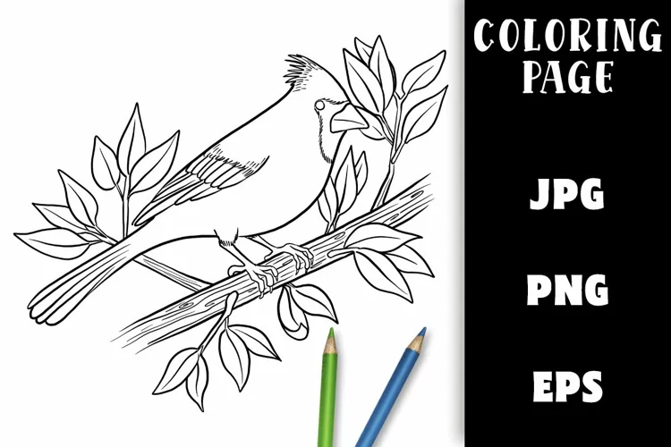 Coloring Page - Bird on a Branch