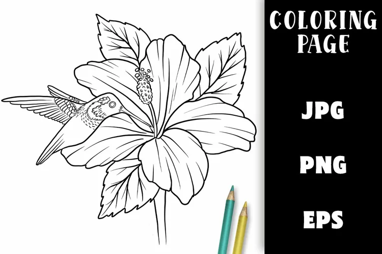 Coloring Page - Hummingbird and Hibiscus