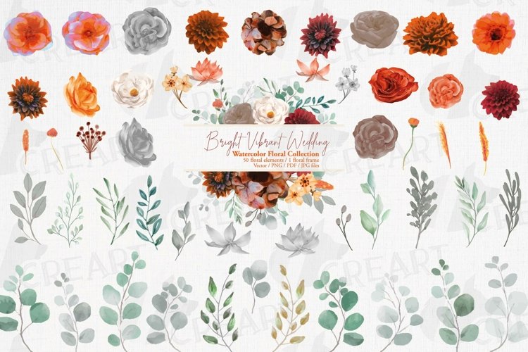 Watercolor Eucalyptus Clipart Image 4