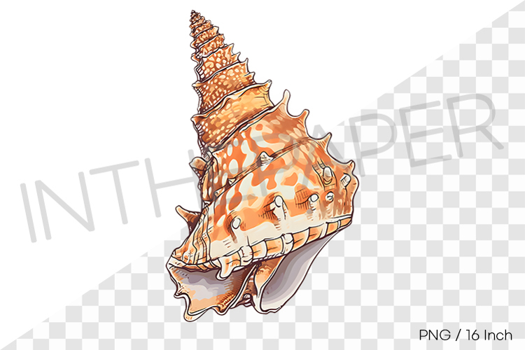Spiral Clipart Image 24