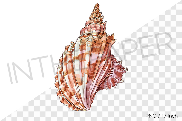 Shore Clipart Image 11