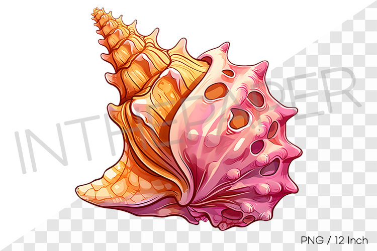 Wide pink conch PNG clam clipart marine cartoon illustration