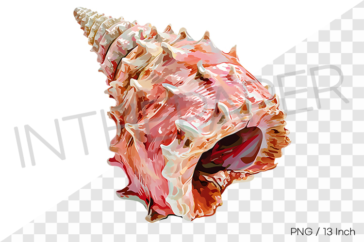 Marine Clipart Image 3
