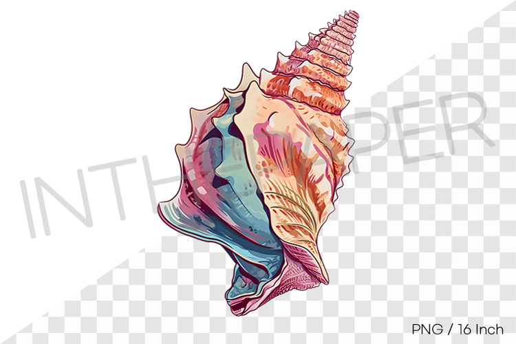 Sea Shell Clipart Image 11