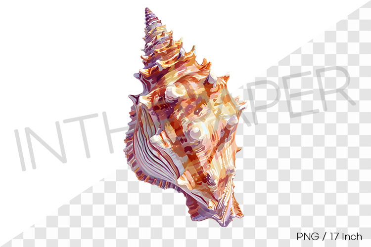 Spiral Clipart Image 23