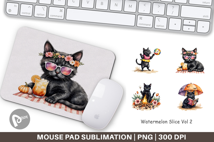 Mouse Png Image 7