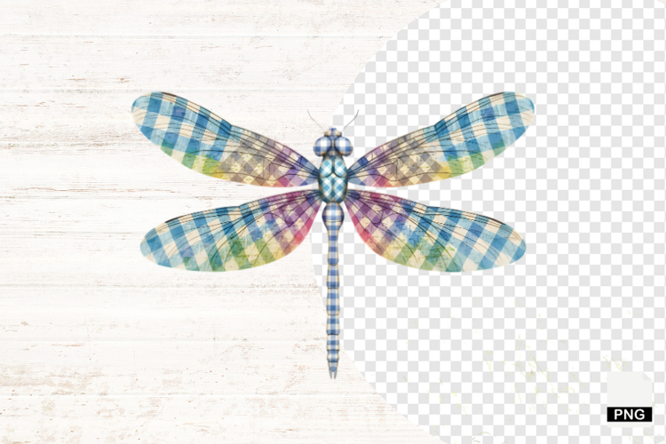 Summer Clipart Image 23