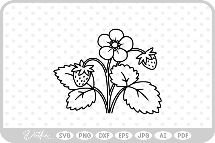 Plant Png Image 5