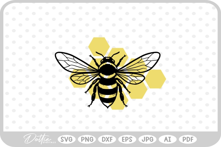 Insect Illustration Image 15