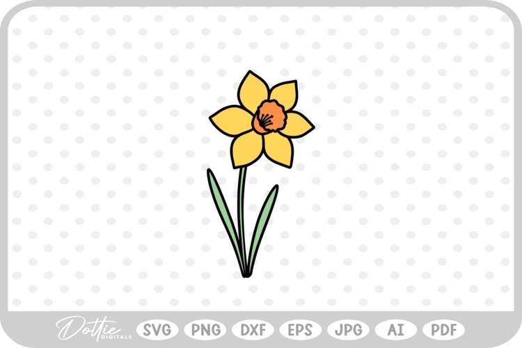 Daffodil Illustration Image 16