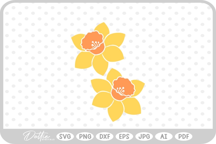 Daffodil Illustration Image 2