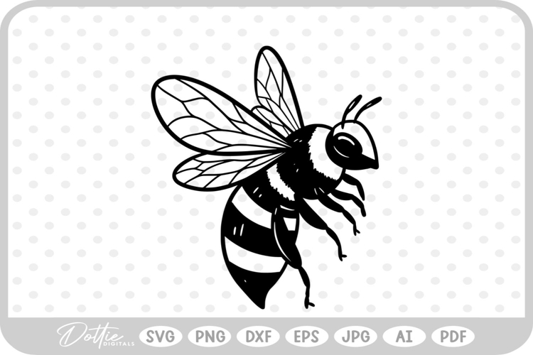 Insect Illustration Image 12