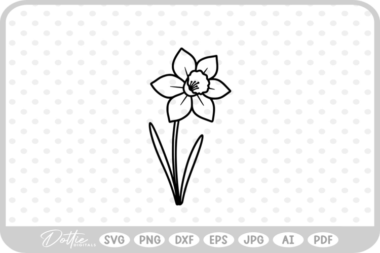 Daffodil Illustration Image 12