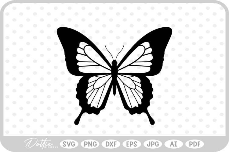 Butterfly Vectors Image 2