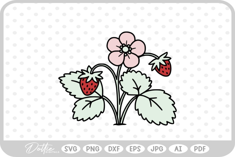 Plant Png Image 9