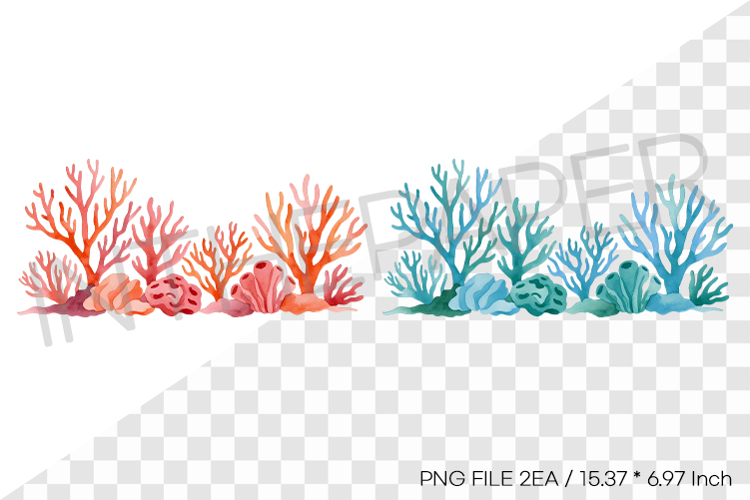 Seaweed Illustration Image 22