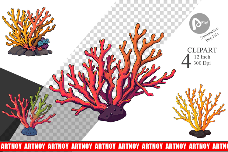 Coral Png Image 15