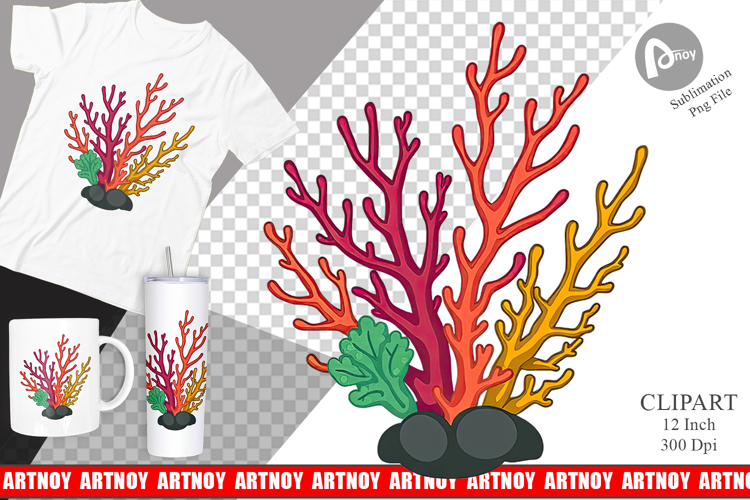 Coral Png Image 9