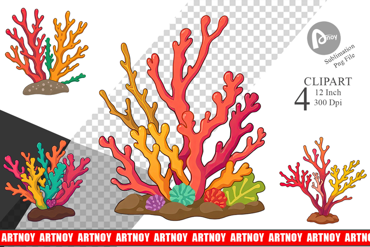 Coral Png Image 12