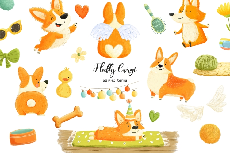 Watercolor cute corgi clipart. Fluffy corgi PNG