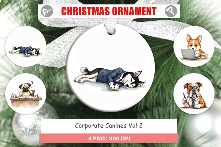 Ornament Png Image 23