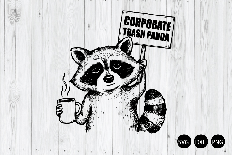 Raccoon Png