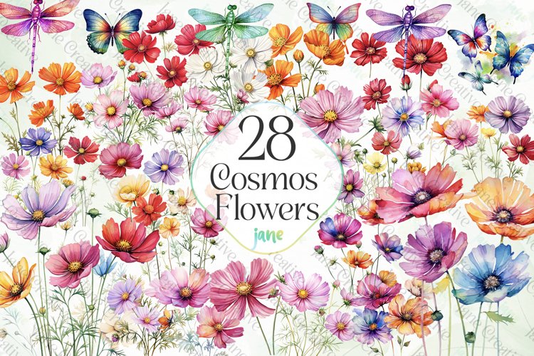 Canvas Clipart Image 5