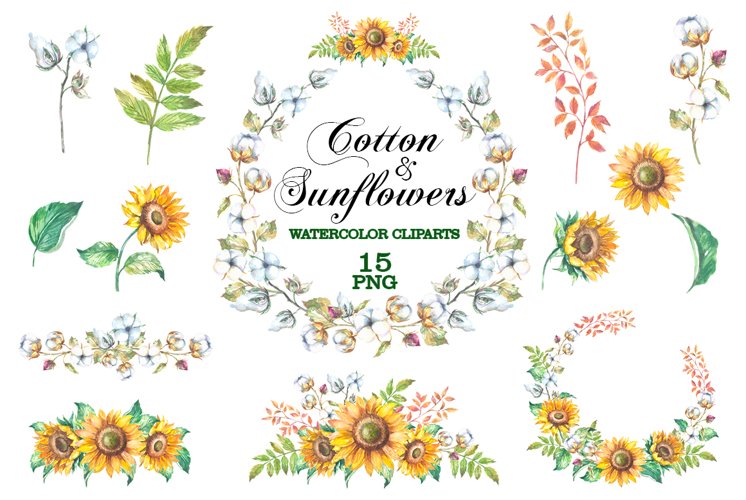 Sunflowers Png Image 3
