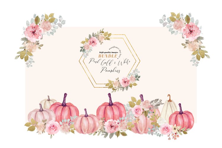 White Pumpkin Clipart Image 13