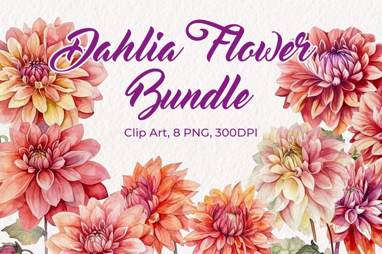 Dahlia Flower Watercolor Clip Art Bundle. PNG Sublimation