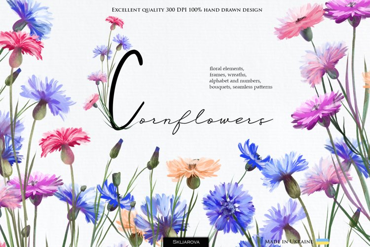 Cornflowers clipart
