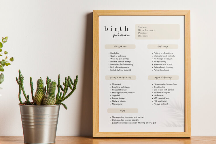 CANVA Birth Plan Template example image 1