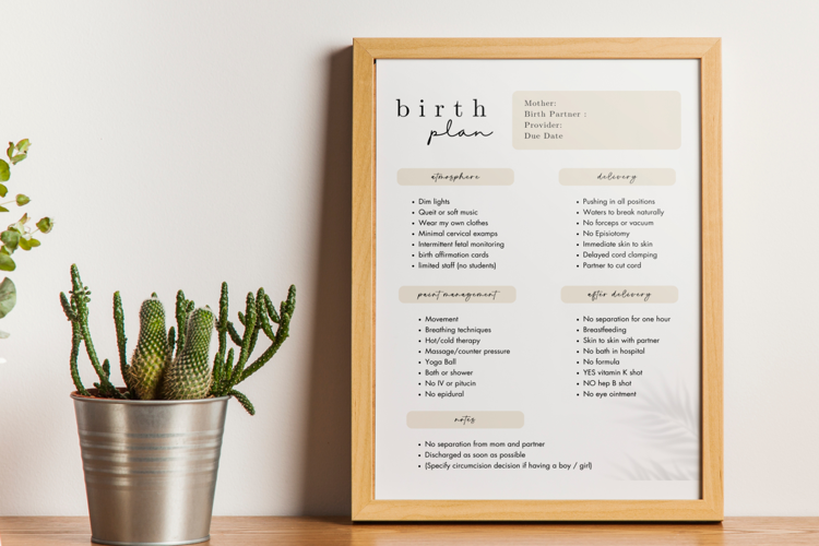 CANVA Birth Plan Template