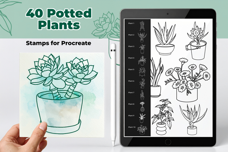 40 Potted plant stamps for Procreate, Houseplant brush set