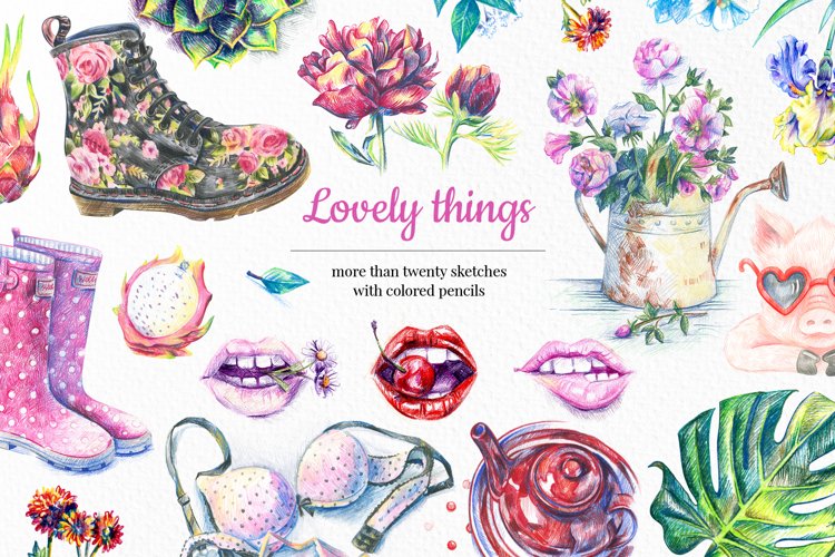 Succulent Png Image 22