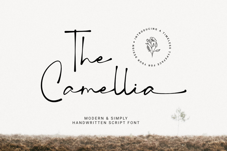 The Camellia - Modern Handwritten Script