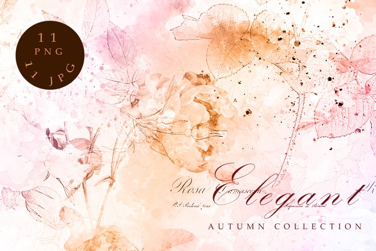 Autumn Floral Textures