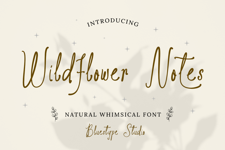 Designer Font Bundles Image 8
