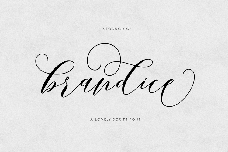 Wedding Fonts Image 4