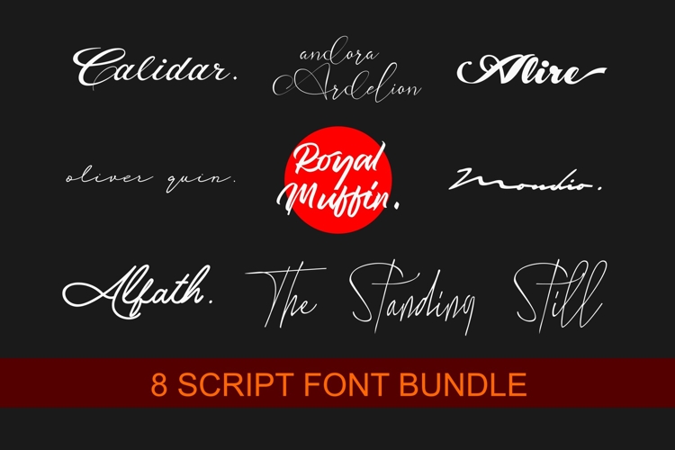 8 SCRIPT FONT BUNDLE example image 1